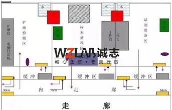 三甲醫(yī)院PCR實(shí)驗(yàn)室建設(shè)方案1